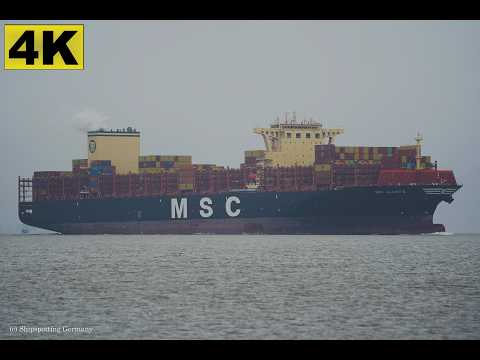 MSC ALANYA - Shipspotting Germany 🇩🇪 IMO 9785483 - River Elbe near City Otterndorf - 4K VIDEO