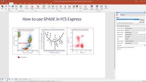 SPADE - (Short video)