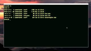 naming and editing the bash script