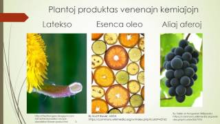 Plantoj: la kemiistoj de naturo (Esperanto)
