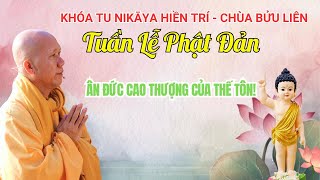 Khoá Tu NIKAYA Phật Đản - Ân Đức Cao Thượng Của Thế Tôn!