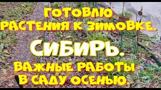 :     .    .