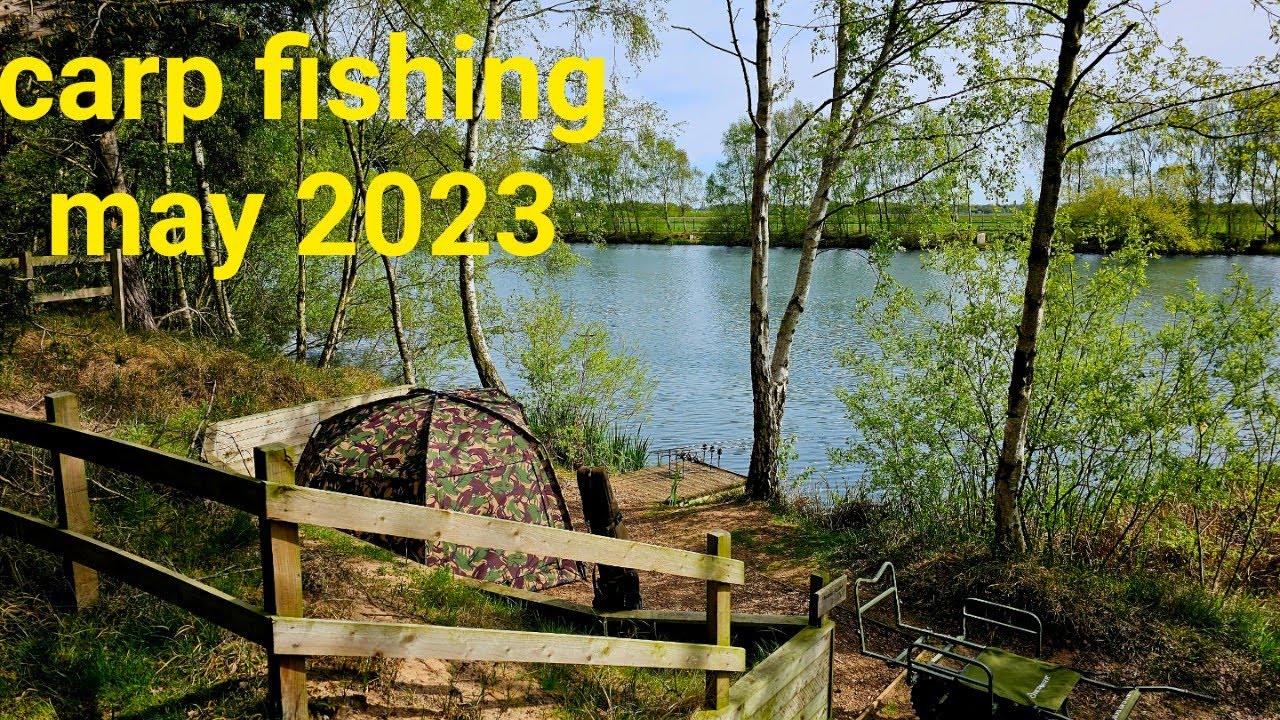 carp fishing the syndicate 2023 YouTube