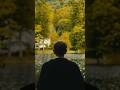 Shooting some still frames out in nature #cinematic #stillframes #filmmaking #sonyfx3 #colourgrading