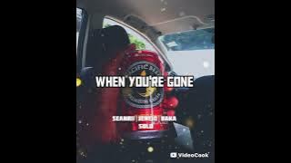 Seanrii ft jeneio & baka solo when you're gone 
