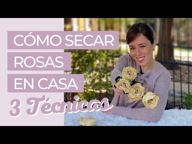 La guía definitiva para secar flores muy fácil de hacer