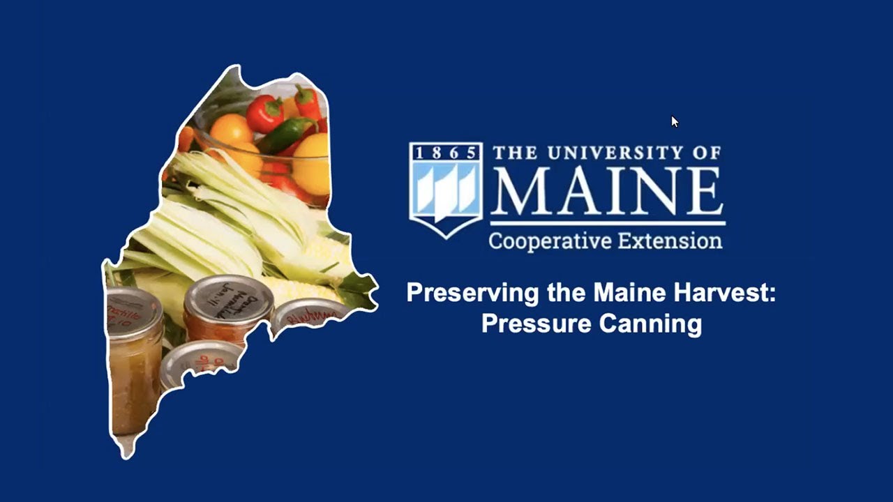 Tips for Cooking With Electric Pressure Cookers - Cooperative Extension:  Food & Health - University of Maine Cooperative Extension