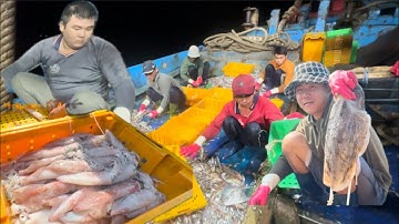 HÀNH TRÌNH ĐI BIỂN NGHỀ GIÃ CÀO ĐÔI PHƯỚC HẢI,CHIẾN BIỂN ĐẦU TIÊN