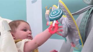 Video: Taf Toys Koala in Car Play Center