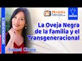 La Oveja Negra de la familia y el Transgeneracional, por Suimei Chung