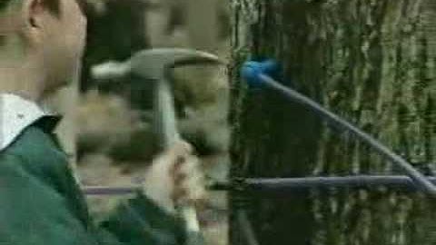 Maple Sugaring: A Springtime Tradition (part 2)