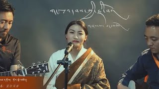 New Tibetan Song by Thang Tso| ཐང་མཚོའི་གཞས་གསར་ ༼ གངས་འདབས་ཀྱི་རྫི་བོ།༽ |2024