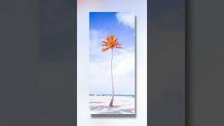 Resident Artist at Art Fusion Galleries - Jordan Donnelly. #exhibition #art #artgallery #artist