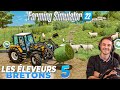 Les moutons sont la  les leveurs bretons 5