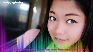 DJ Lily Alan Walker VS On My Way Remix Terbaru 2019 || Bass Nya Nampol Mantulllll