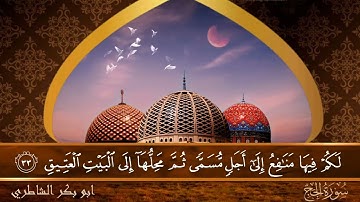 سورة الحج - جودة عالية - القارئ الشيخ  ابو بكر الشاطري