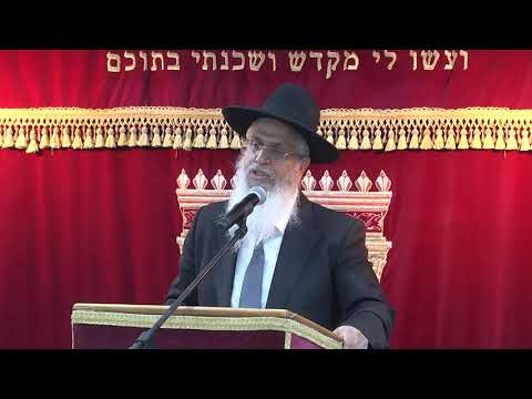 הלכות פירות שביעית ואוצר בית דין | הרב יורם סרי