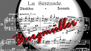 Friedrich Burgmüller - La Serenade op.109 n. 11