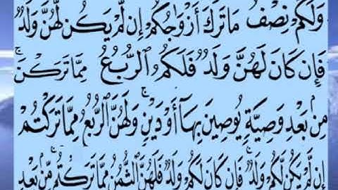 سورة النساء اية ١٢ جمال القرش