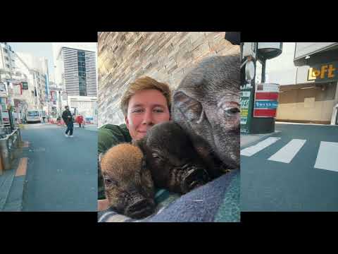 Ethan Tasch - Love and Japan (Official Travel Vlog)