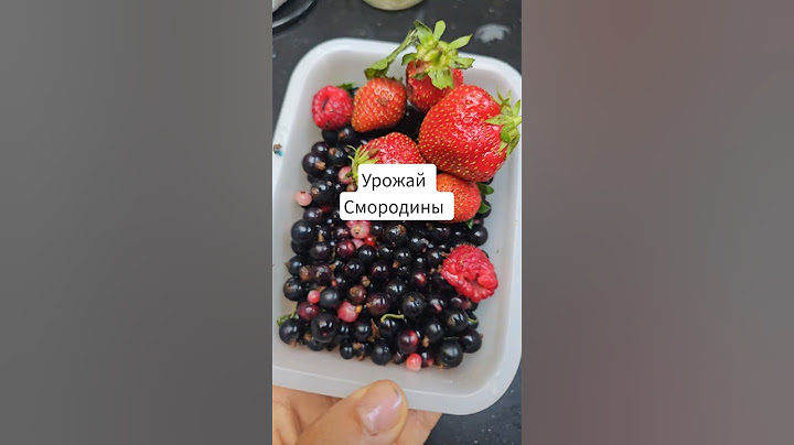 урожай смородины во Франции #tatianamotivator #смородина #урожай #доммечты #франция фран