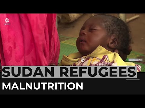 Aid agencies in chad warn sudanese children at risk of starvation