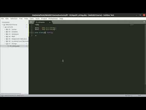 17 PHP Web Development   16   Strings   String