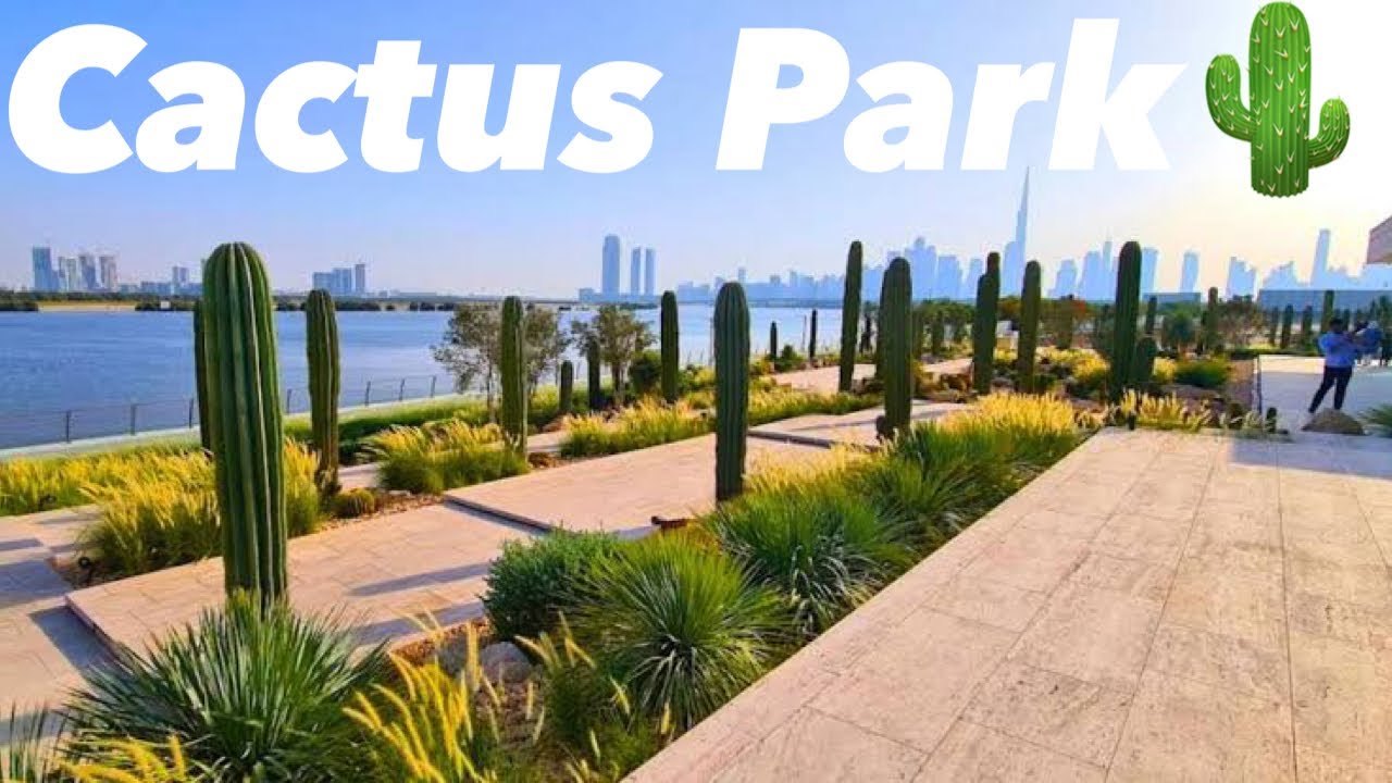 Cactus Park Promenade  Dubais Most Peaceful Sunset Walk