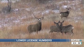 Game and Fish to give out 3,300 less deer gun licenses this year