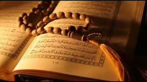 تلاوة خاشعة وهادئة تشرح الصدر وتذهب الهم والحزن