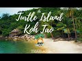 Turtle Island 🐢 Koh Tao - One of the most Idyllic Island in the World - Thailand 2022 4K #12