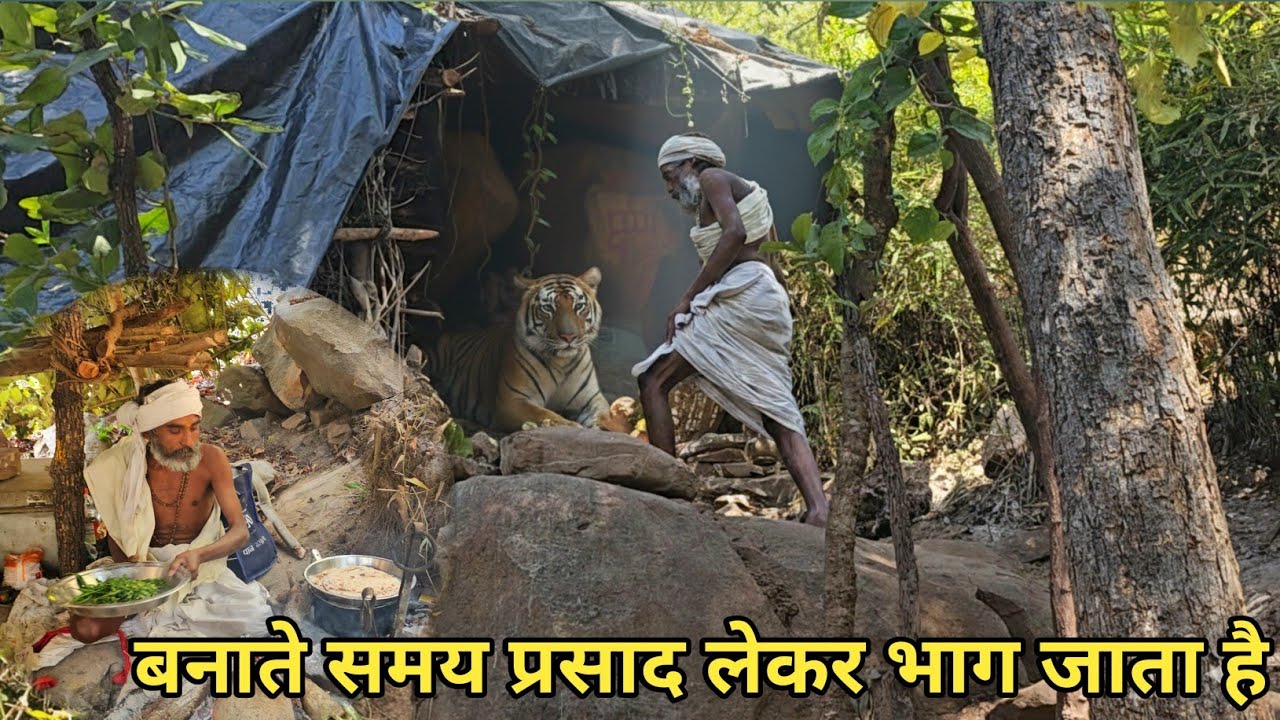 Chitrkoot के जंगल में बैरागी संत चट्टानों के बीच छिपकर कर रहे तपस्या #sant #साधु 