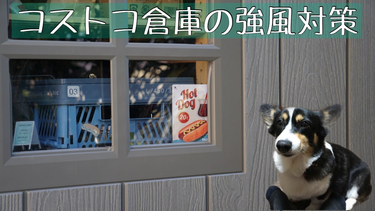 コストコ倉庫の強風対策 Costco 倉庫 風対策 Corgi Youtube