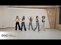 Xin  my idol dance practice mirror ver