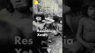Resistência Xetá: mais de 70 anos após genocídio, povo indígena paranaense segue sem reparação