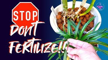 ZES TIPS wanneer u uw ORCHIDEEËN NIET MOET BEMESTEN & WAAROM | Orchideeënverzorging voor beginner...