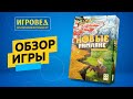 Новые римляне. Обзор настольной игры от Игроведа