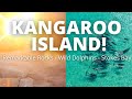 KANGAROO ISLAND! Part 2 South Australia caravan with kids!