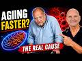 The #1 Cause of Fatigue, Brain Fig and Aging