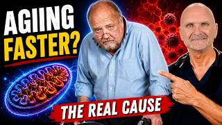 The #1 Cause of Fatigue, Brain Fig and Aging