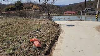부지분석(시골부지 살때 조심해야 하는것)