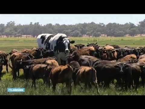 Video: Er Is Een Enorme Stier Gegroeid Op Een Boerderij In Australië - Alternatieve Mening