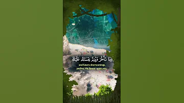 6 August 2025 