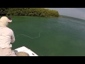 Cuba cayo santa maria tarpon fly fishing