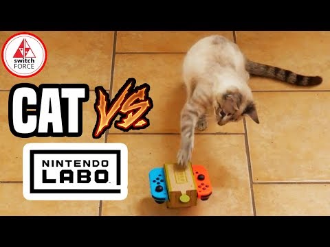 NINTENDO LABO vs. CAT!
