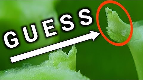 Guess These Objects? Most Satisfying Everyday Objects In Macro (Extreme Close Up) - BeyondEyes (HD)