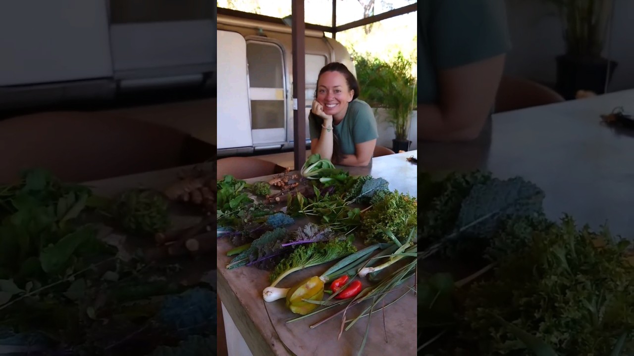 Eco-Village Community Garden Haul #ecovillage #costarica #homestead