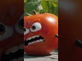 ia 🍅 tomate