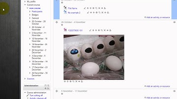 Drag and Drop Upload