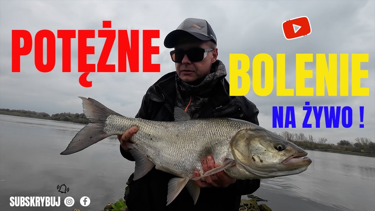 Jakie dzisiaj brania 4